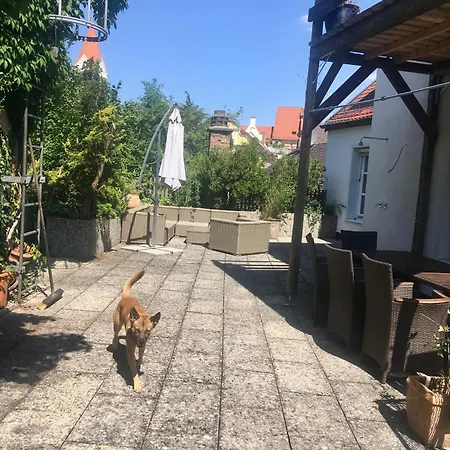 公寓 Altbau-traum Mit Riesen-dachterrasse *
