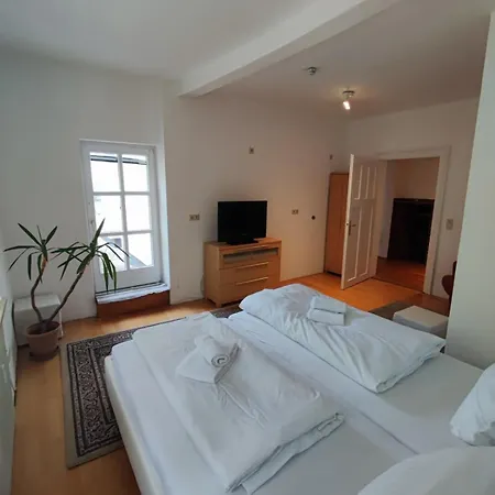Altbau-traum Mit Riesen-dachterrasse Апартаменты Moosburg an der Isar
