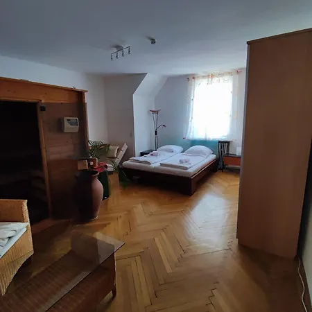 Altbau-traum Mit Riesen-dachterrasse *