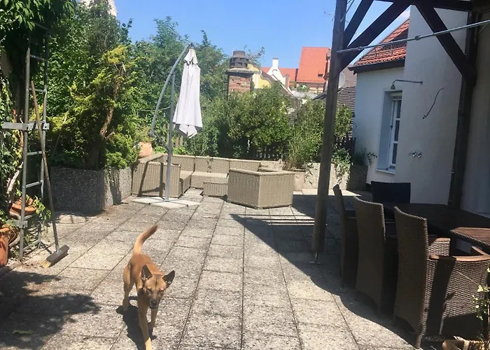 Apartment Altbau-traum Mit Riesen-dachterrasse *